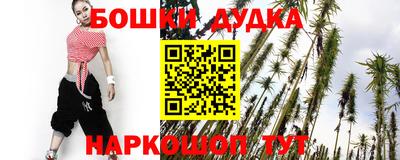 прущие грибы Будённовск