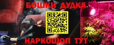 прущие грибы Будённовск