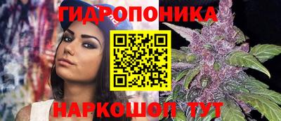 прущие грибы Будённовск