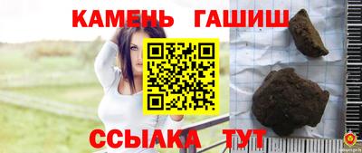 прущие грибы Будённовск