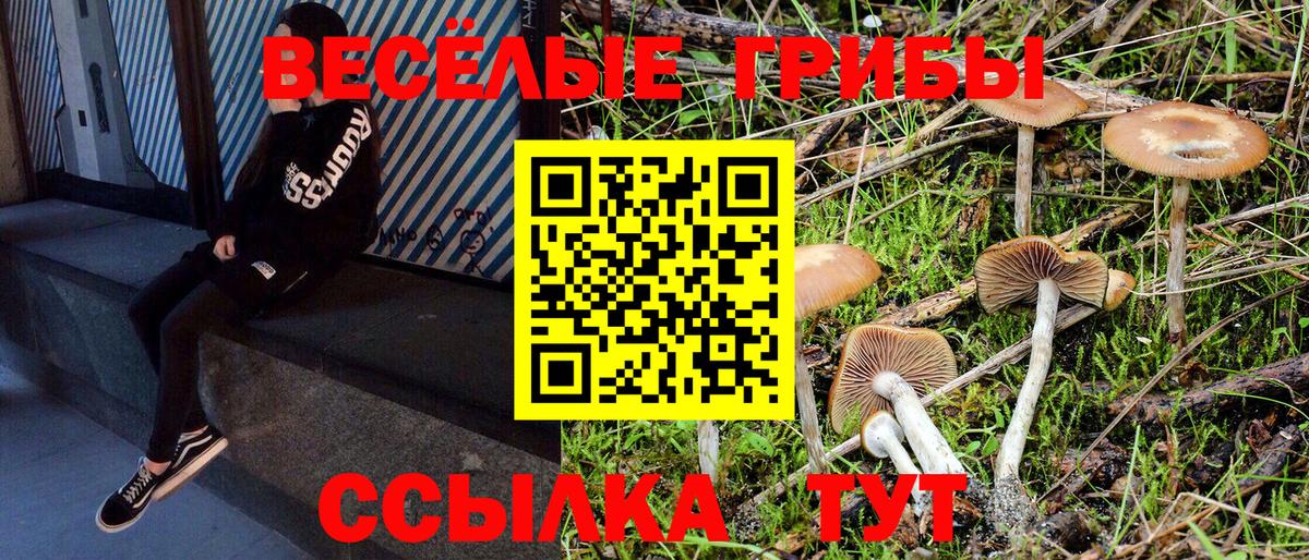 купить   Галлюциногенные грибы мухоморы  Вход с VPN  Шумерля 