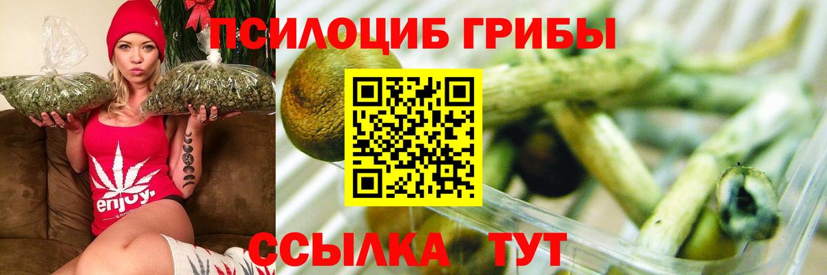 Псилоцибиновые грибы Psilocybine cubensis Шумерля